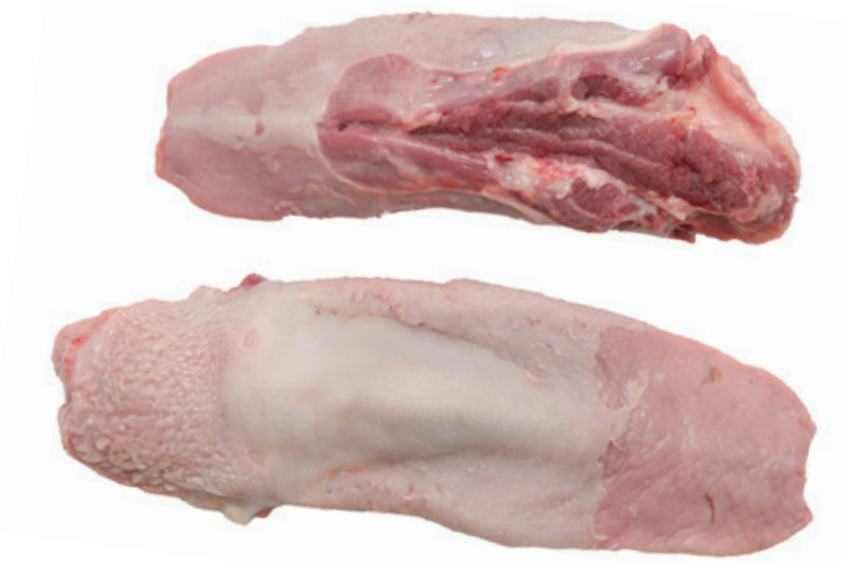 Lengua de cerdo